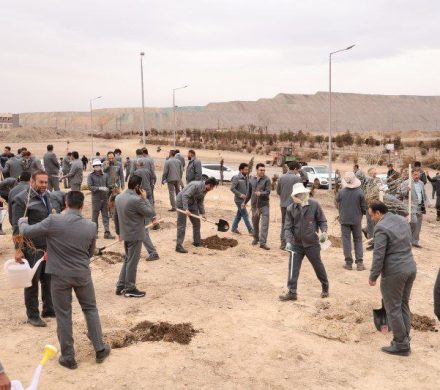 رویداد «فولاد آراسته، طبیعت ماندگار» در شرکت توسعه آهن و فولاد گل‌گهر برگزار شد